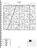 Code 12 - Wilson Township, Osceola County 1999
